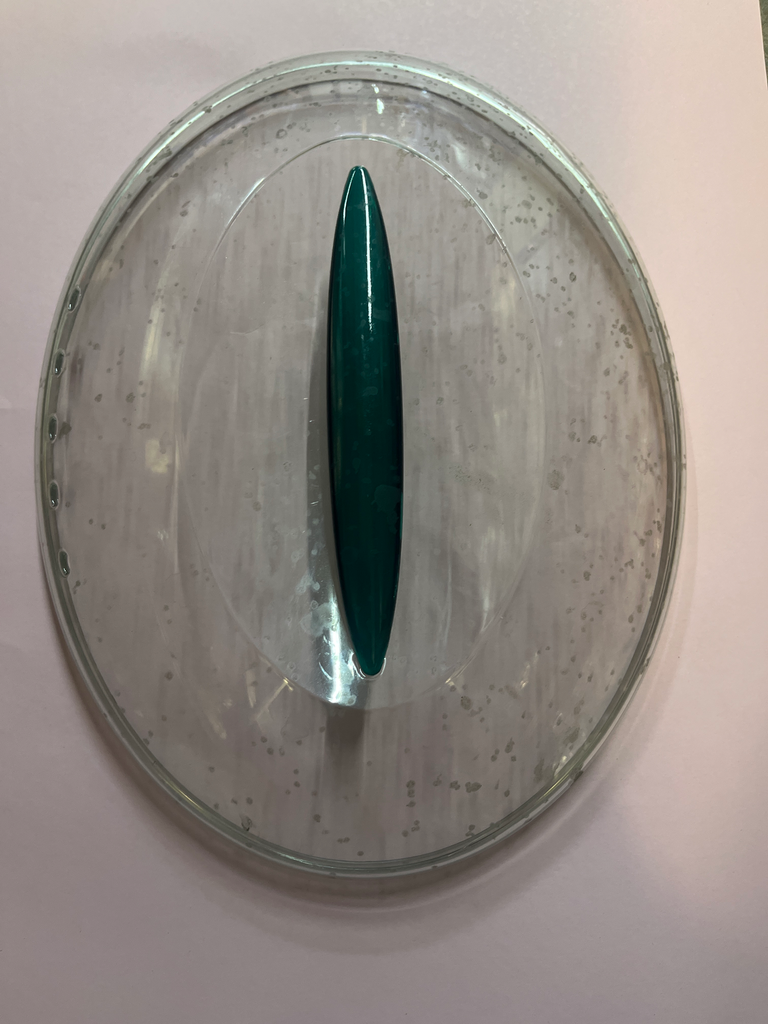 COUVERCLE CUISEUR VAPEUR SS-792029 / SS-794762 - Jusqu'à fin de stock