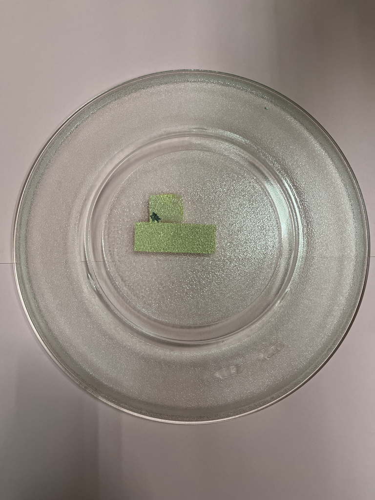 PLATEAU M.O. ELECTROLUX / ZANKER  -  DIAM 312 - 4210018367004 - Jusqu'à épuisement de stock